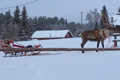 lappland-sauna-09