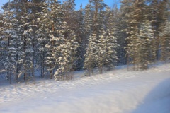 lappland-sauna-12