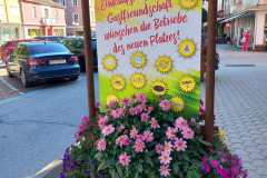 MillWanderung17