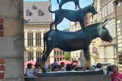 signal-2025-06-14-183744_006