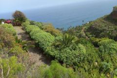 teneriffa-kuestenwanderung-13