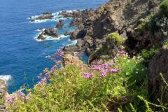 teneriffa-kuestenwanderung-28